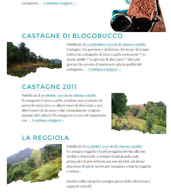 sviluppo grafico