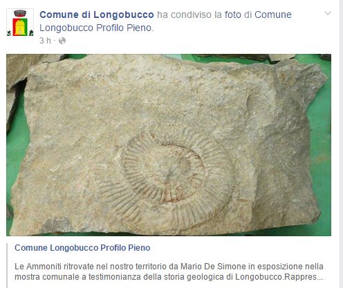 A QUEL TEMPO IO LA DIEDI IN CONSEGNA AL MUSEO INTESO COME ENTE PUBBLICO