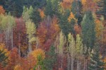 589colori