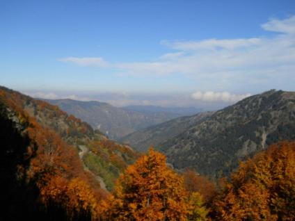 299132_287198891301442_1812973030_n