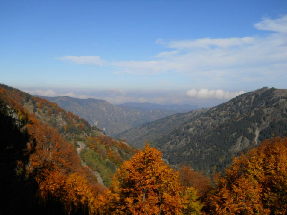 prima pagina web
