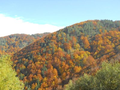 305387_287198267968171_1969808_n