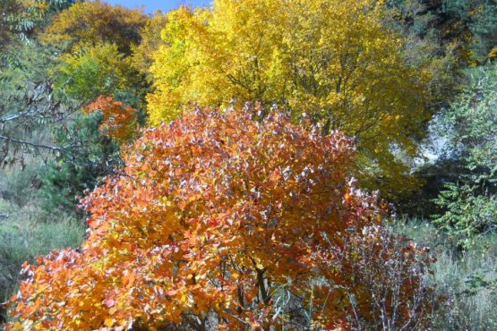 380374_287198651301466_93429028_n