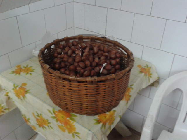 CASTAGNE/INNESTO/CONSERVAZIONE