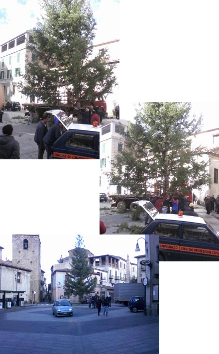 alberi di Natale