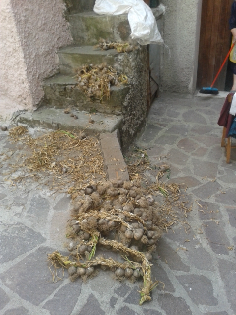 aglio