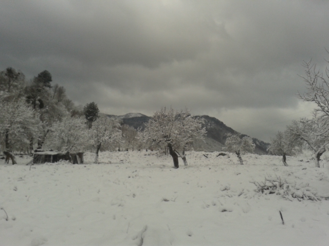 NEVE 2016