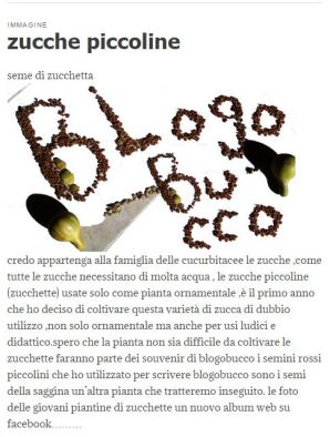ZUCCHINE