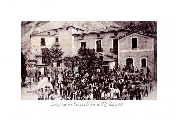 AZIENDA AGRICOLA MULTIMEDIALE