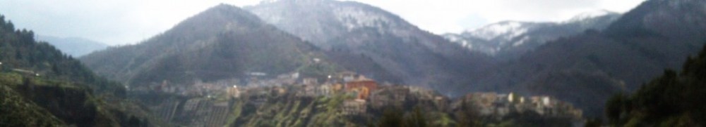 cropped-PIC_1211-1024x186