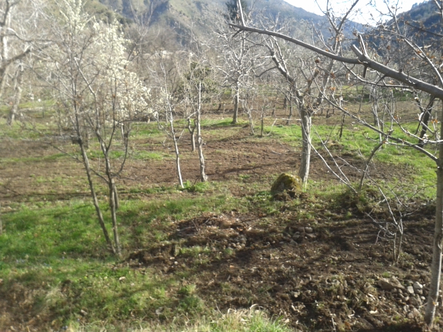 8 MARZO