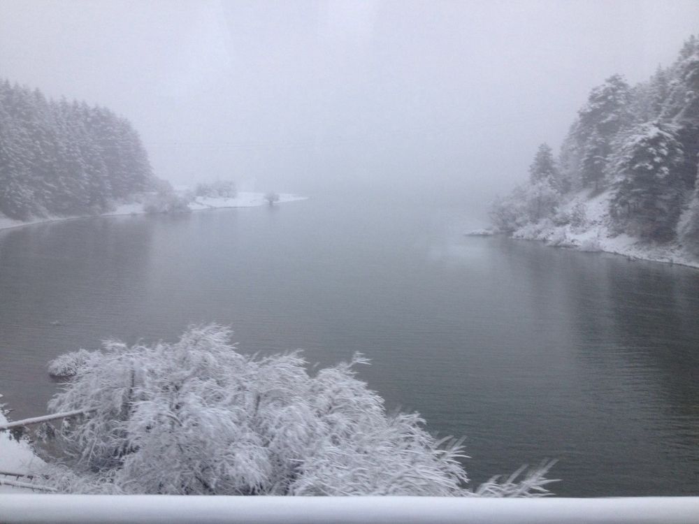 613a3da7-6386-4593-bd03-363fb8da5493 (1)