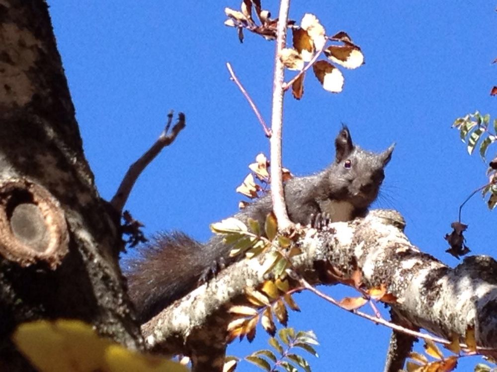 8e39b45f-4b31-49b7-9ac4-6b626b47e110