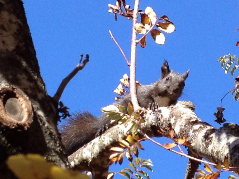 8e39b45f-4b31-49b7-9ac4-6b626b47e110