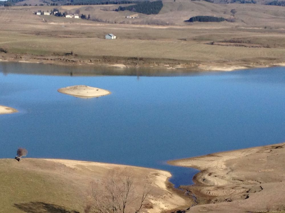 91e560db-f2f6-4629-be96-3fc7969adc2f