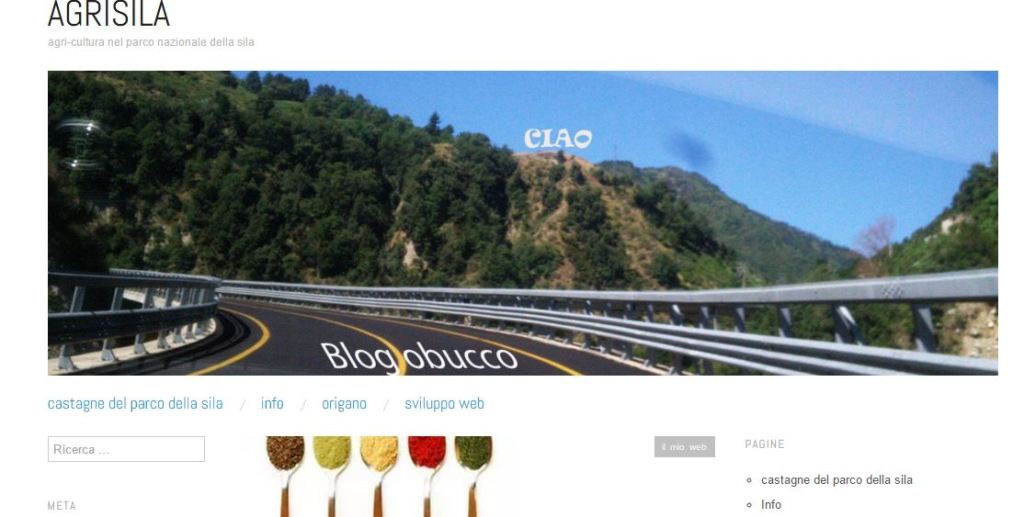 BLOG ABBANDONATI