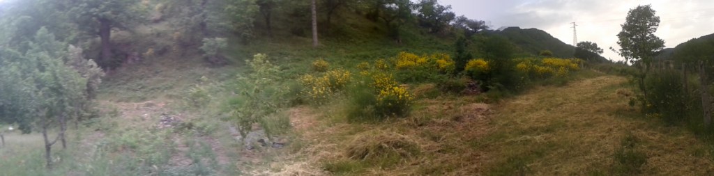 giallo a longobucco