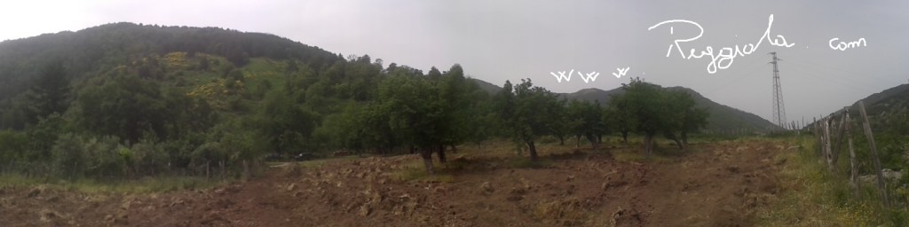 AGRICOLTURA e abbandono