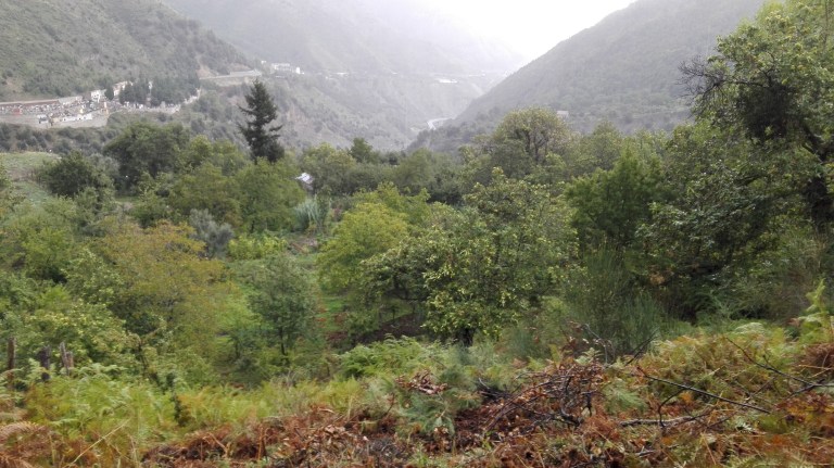 img_20160919_0820351