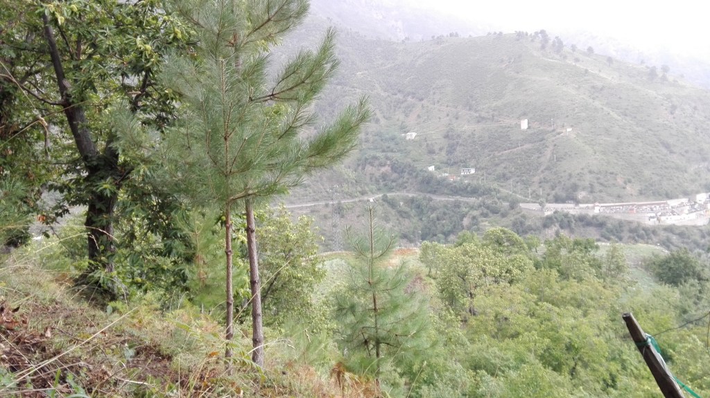 img_20160919_0821161