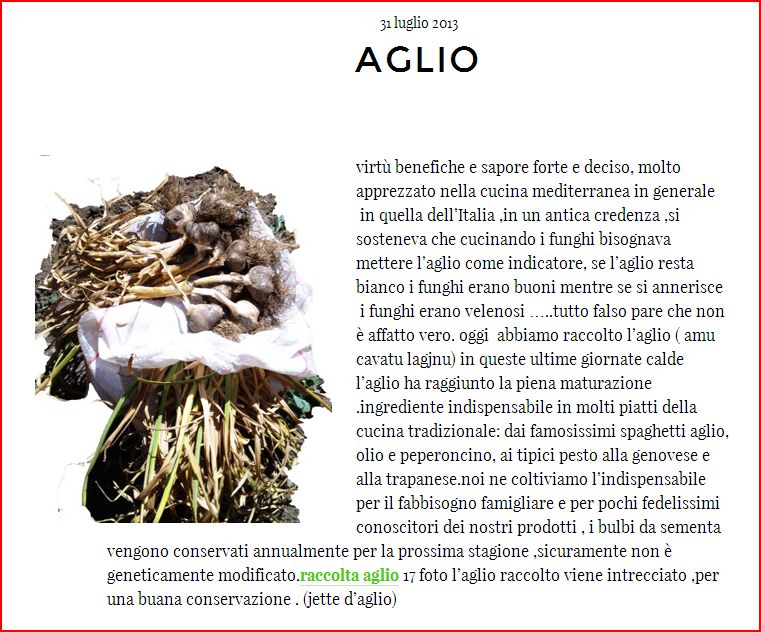 aglio