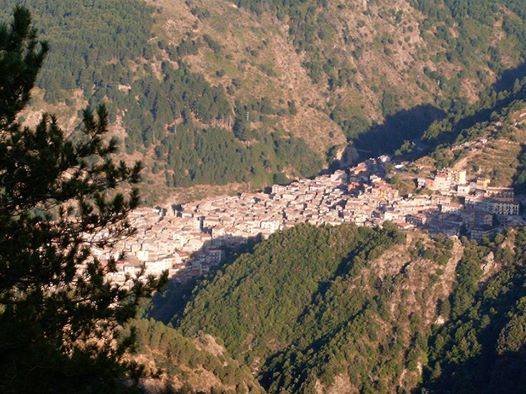 11062038_1565109477088814_2307073166486902479_n