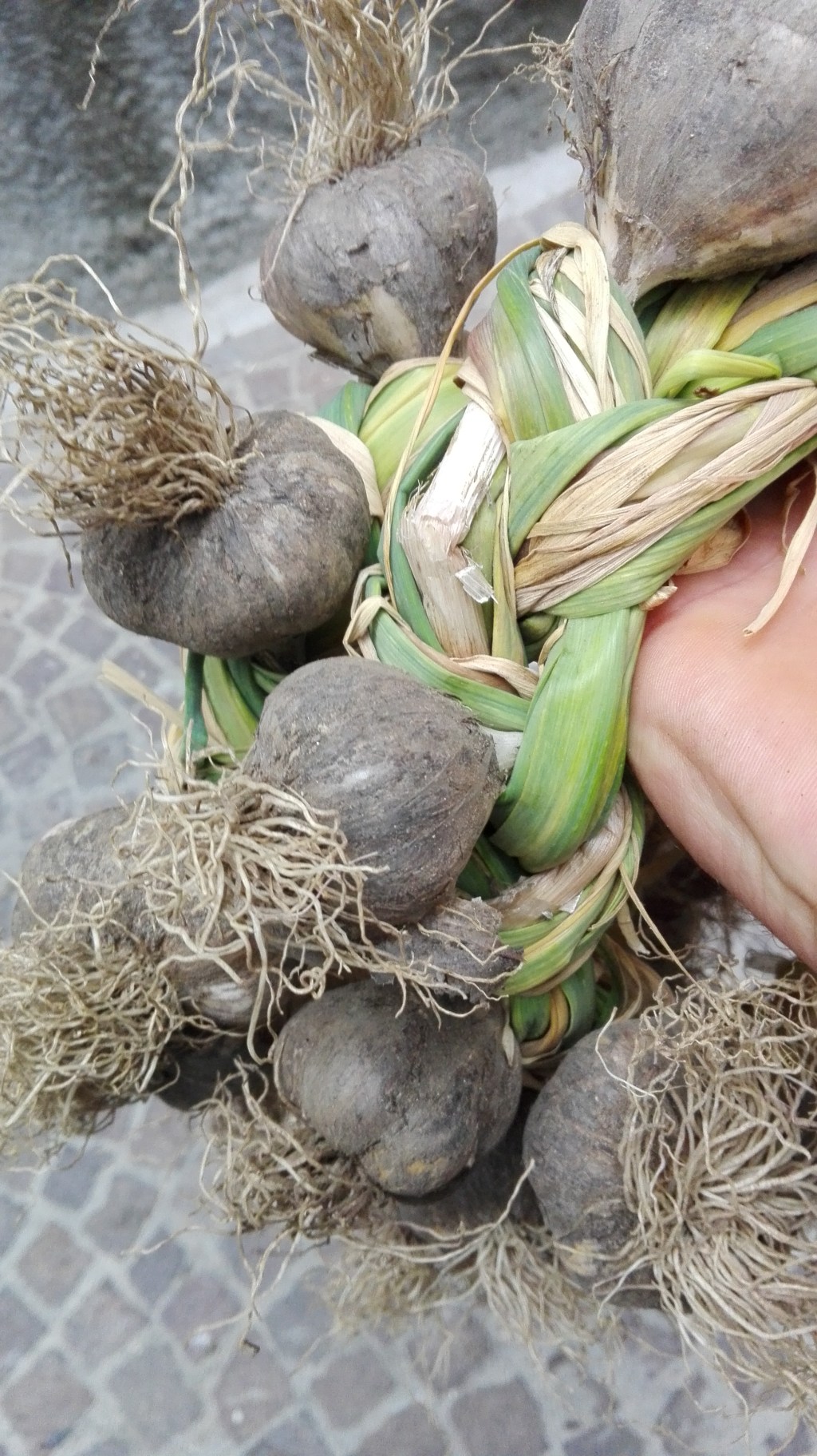 Aglio