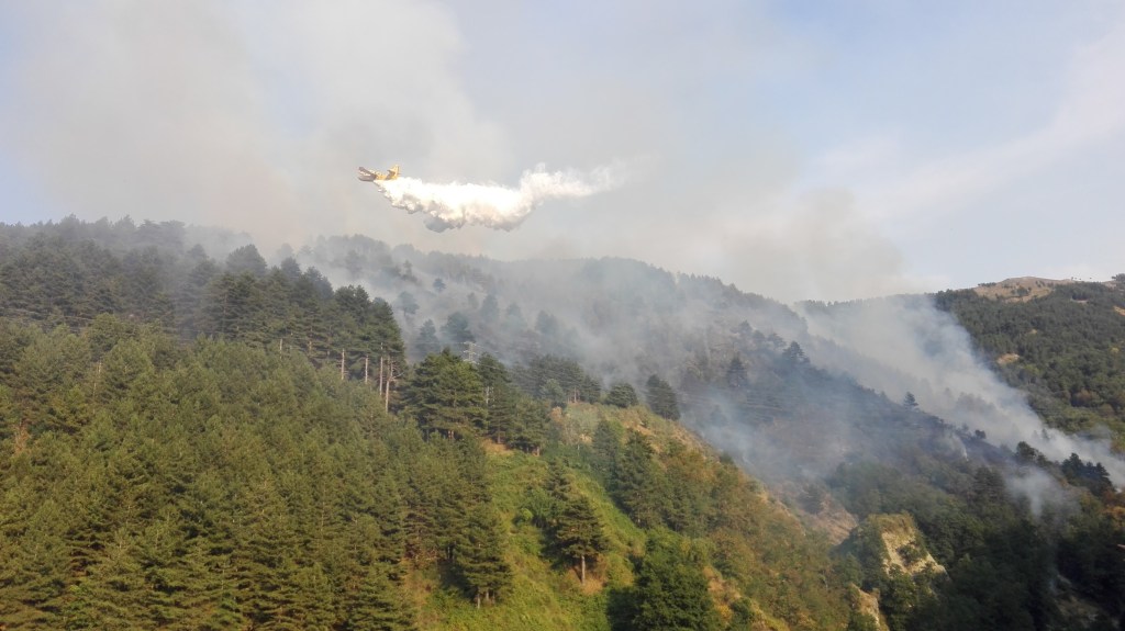 VIDEO FUOCO