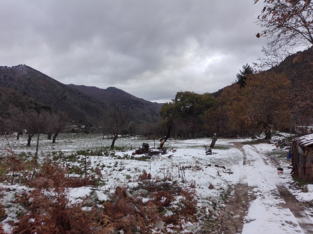 neve di fondo