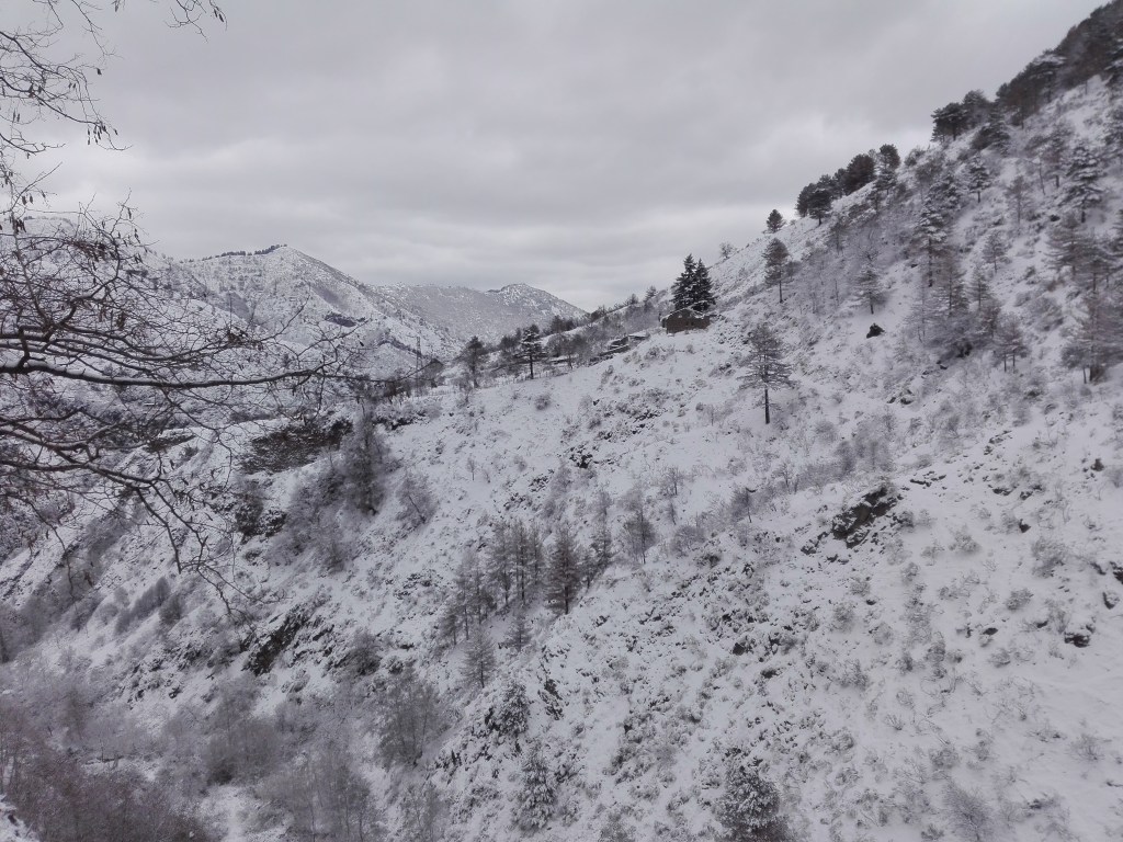 Bianco 2018