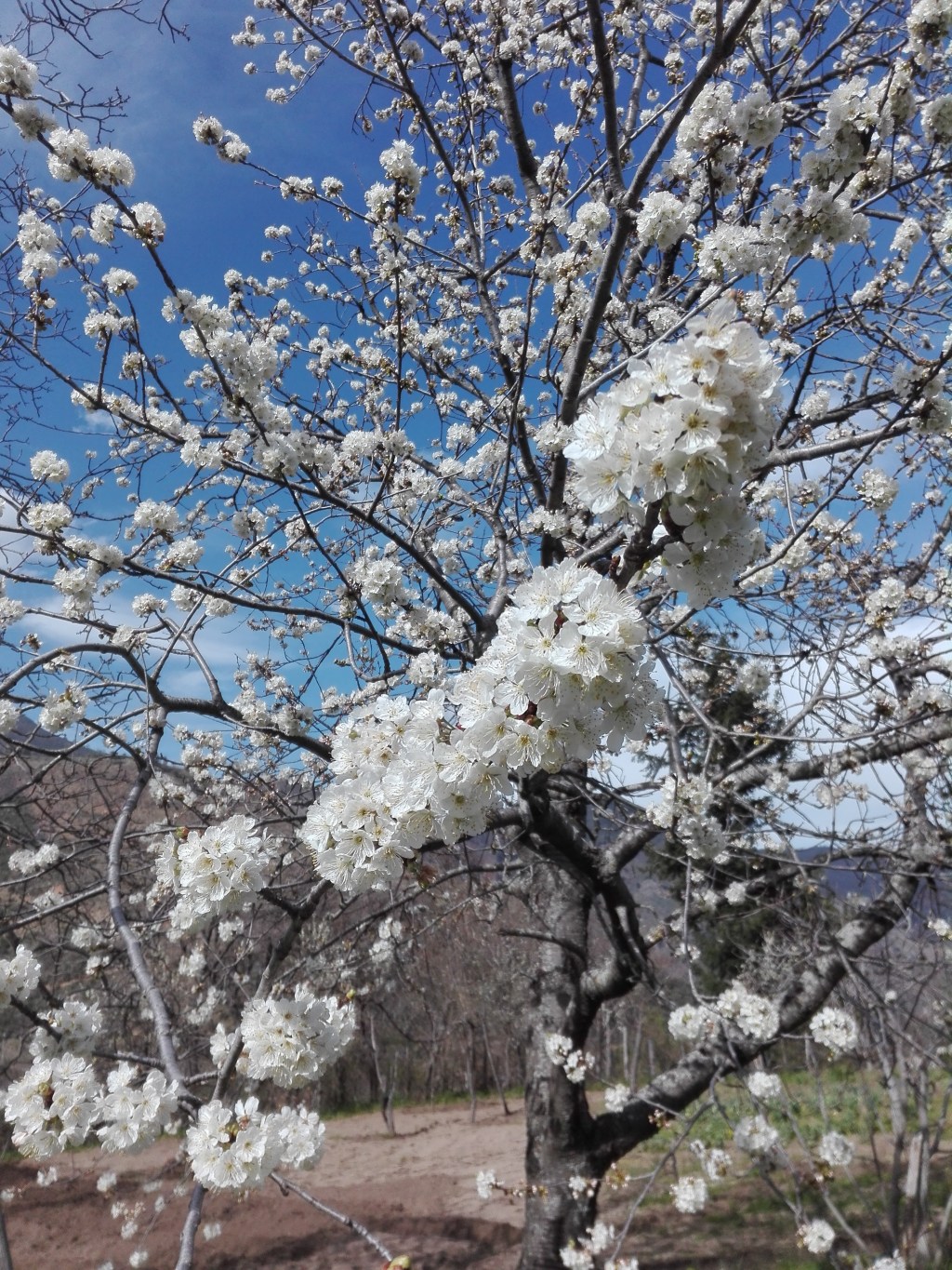 Foto fine marzo