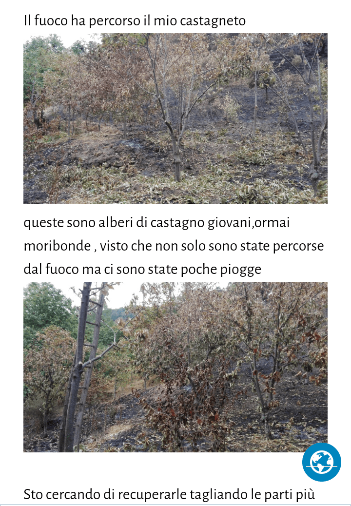 Castagneto 1.0