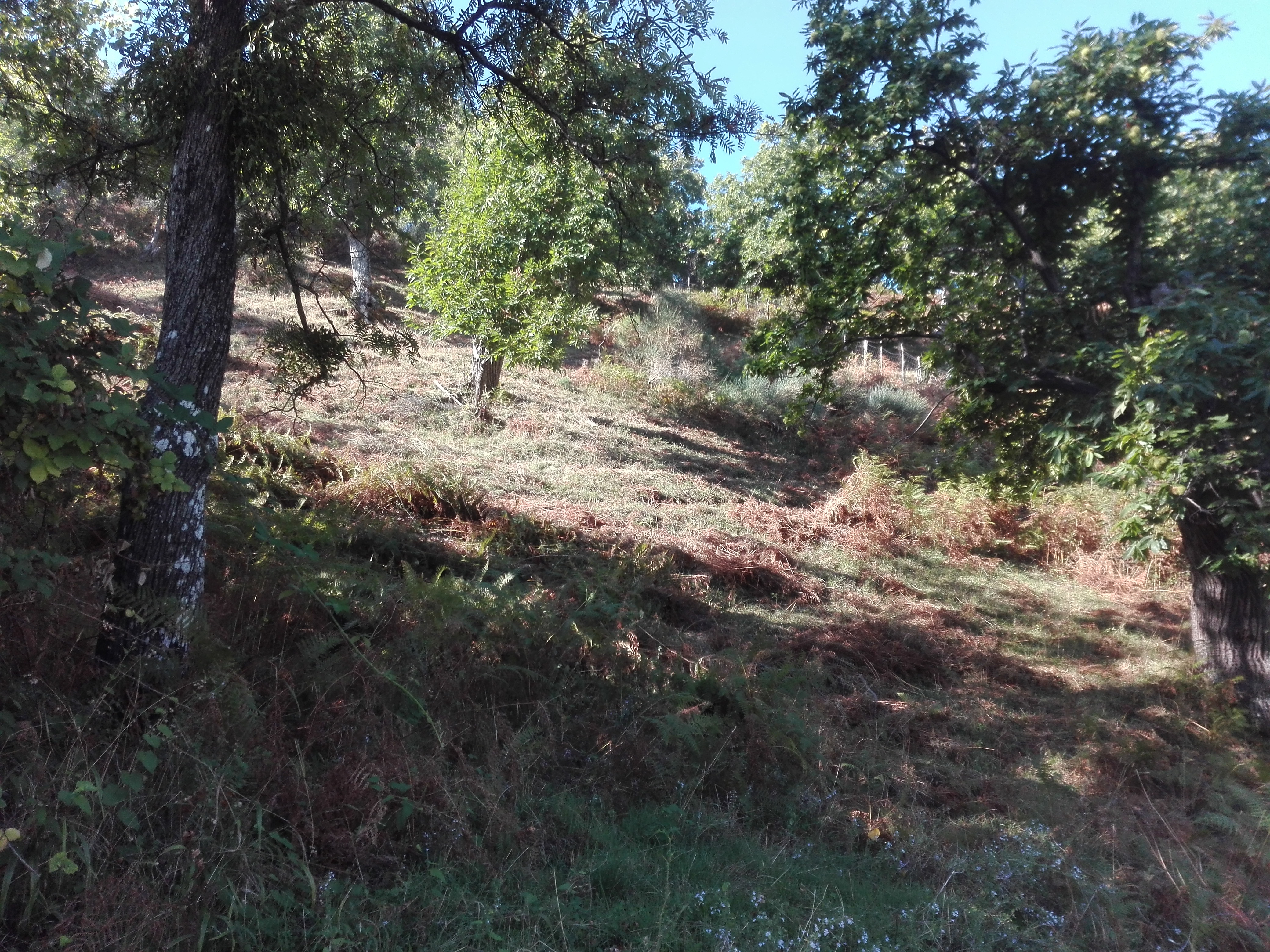 IMG_20191002_095053.jpg