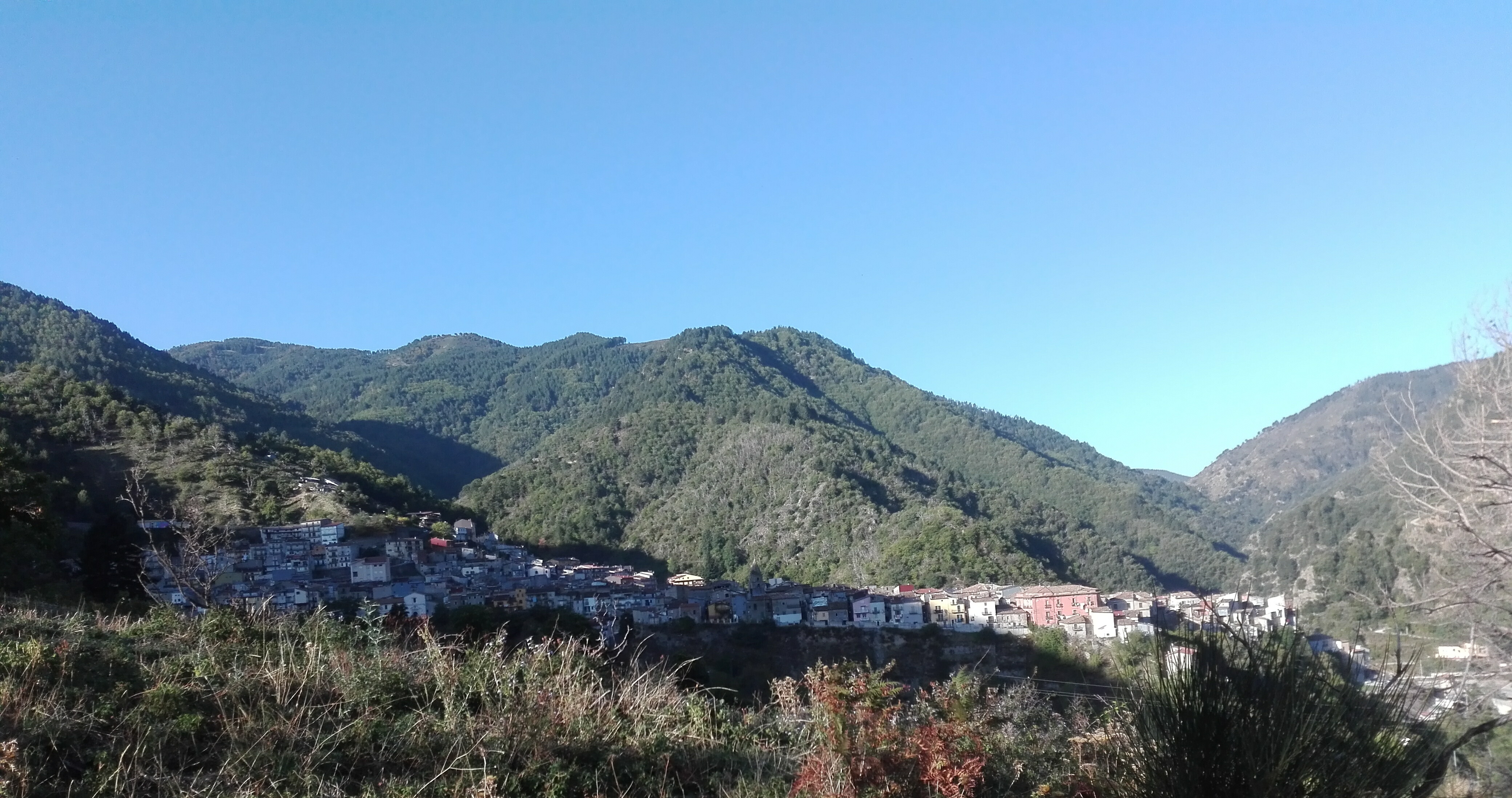 IMG_20191012_144509.jpg