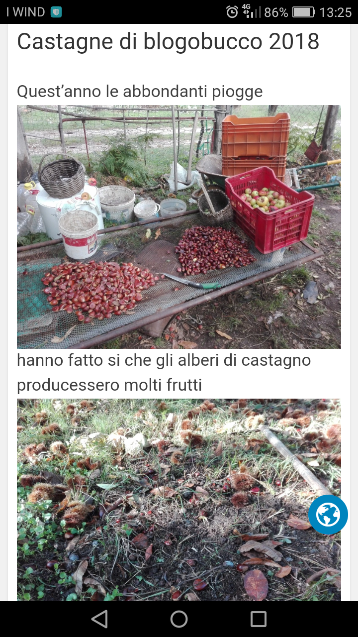 Castagne 2019