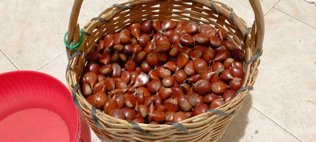 Castagne 2.025