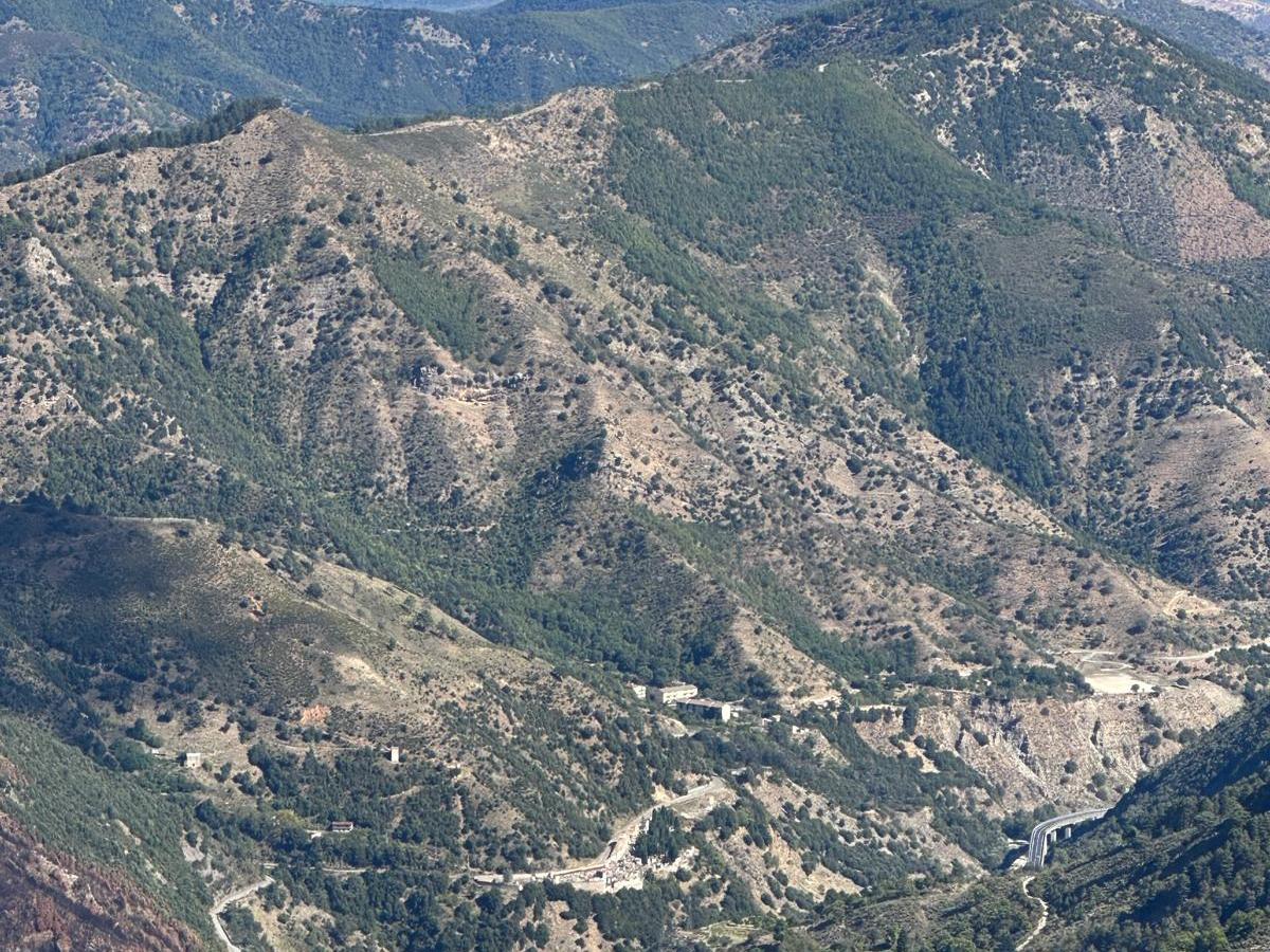Agricoltura promiscua